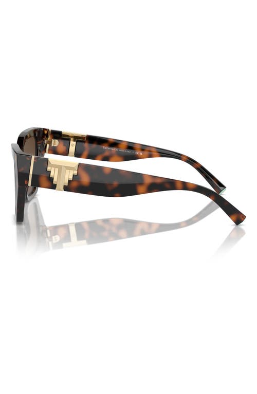 Shop Tiffany & Co . 55mm Cat Eye Sunglasses In Havana