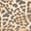 selected Leopard color