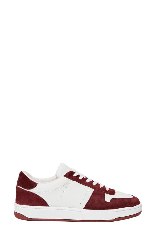 Shop Paige Remy Sneaker In Burgundy/white