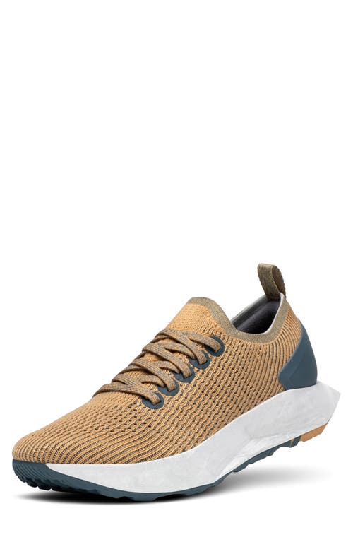 ALLBIRDS Tree Flyer Running Shoe in Forage Tan