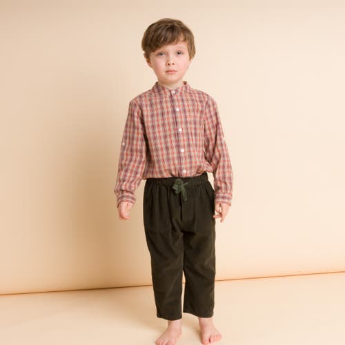 Beet World Boys Long Sleeve Check Shirt In Red And Blue