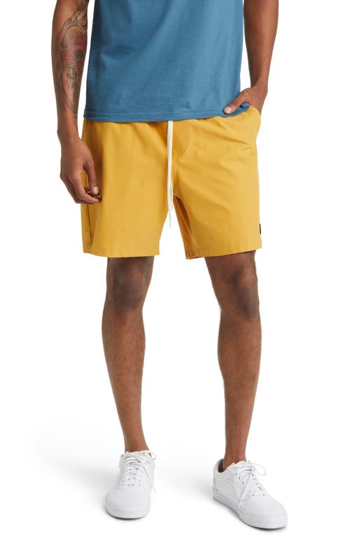 Vans Primary Solid Shorts in Narcissus