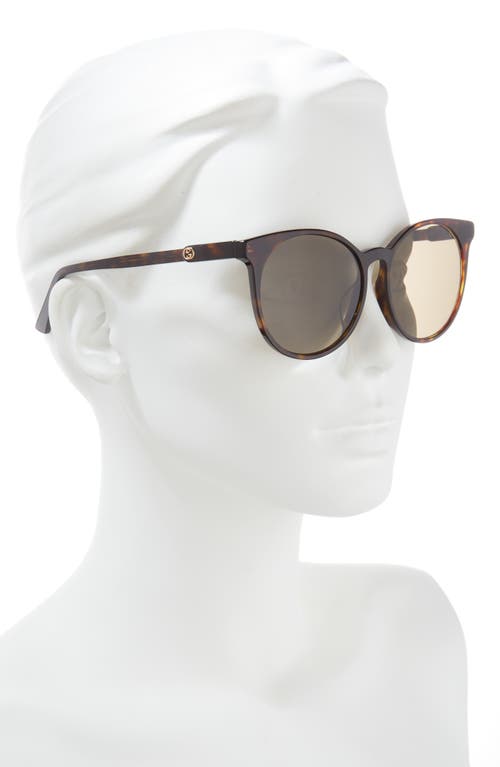 Gucci 56mm Oval Sunglasses In Havana Havana Brown