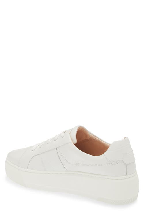 Frankie4 Riley Platform Sneaker In White Tumbled