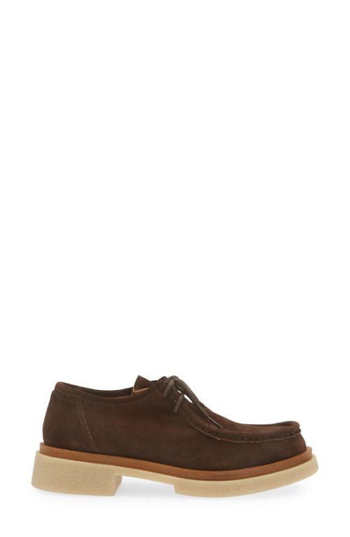 Cordani Maya Loafer In Brown Suede In Camoscio