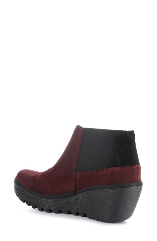 Shop Fly London Yego Wedge Bootie In 011 Wine/black