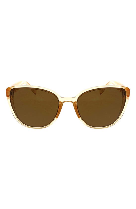 Hurley Medium Plastic Cat-eye Sunglasses In Brown
