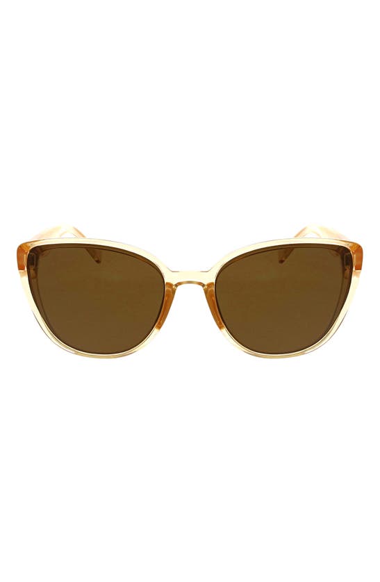 Hurley Medium Plastic Cat-eye Sunglasses In Sand