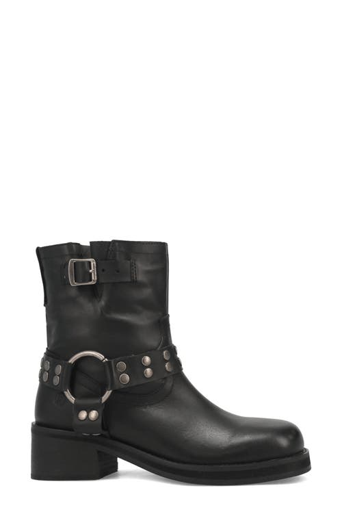 Dingo Anarchy Leather Bootie In Black