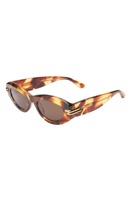 Shop Bottega Veneta 51mm Oval Sunglasses In Havana