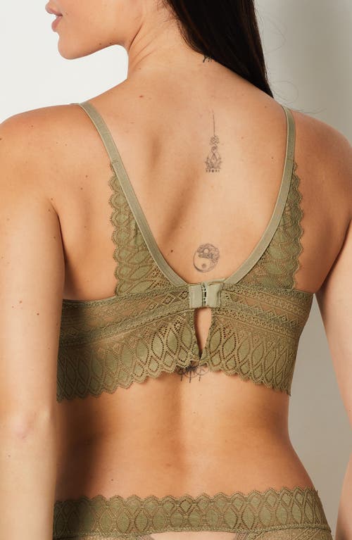 Etam Gravure Lace Underwire Bra In Khaki Olive