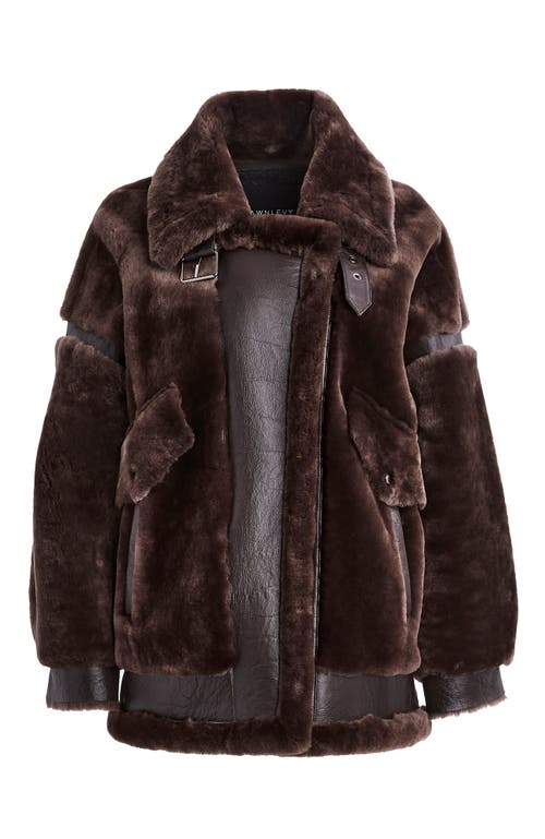 Dawn Levy Sean Coat In Chocolate