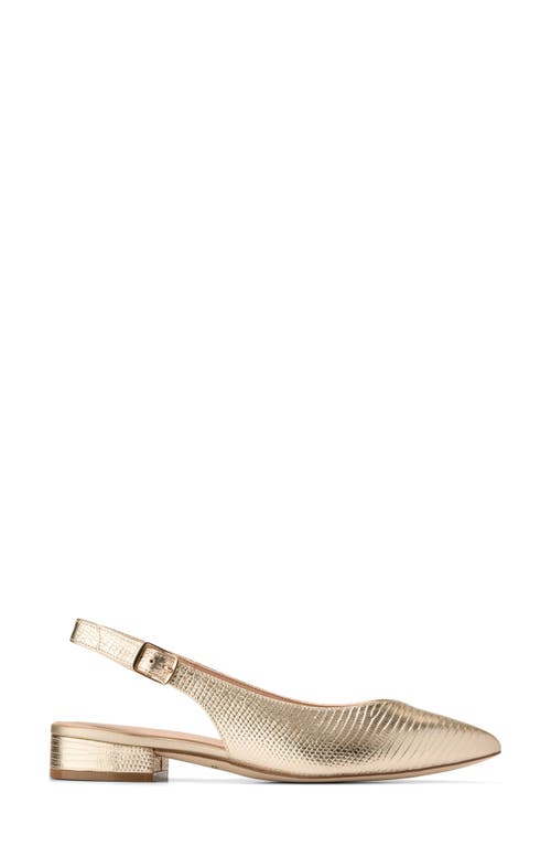 Cole Haan Mazie Slingback Flat In Gold Lizard