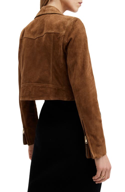 Shop Allsaints Dalby Crop Suede Moto Jacket In Sugar Brown