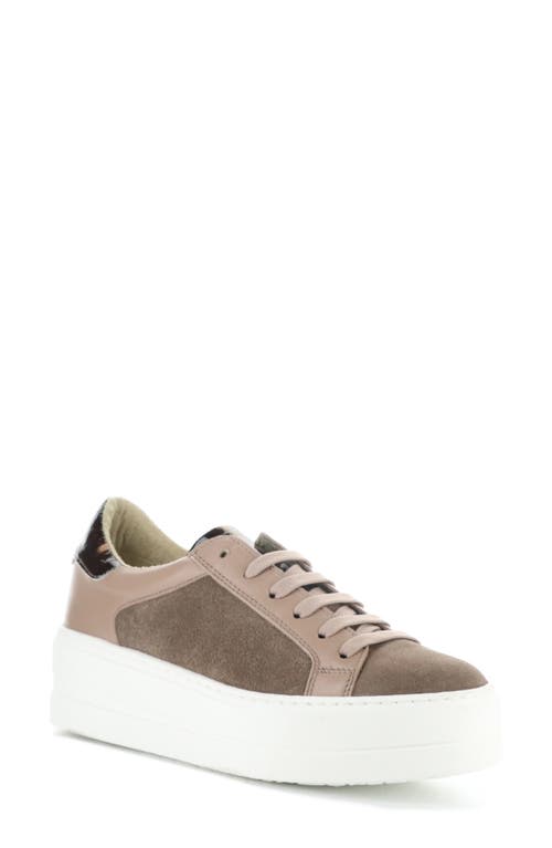 Shop Bos. & Co. Maude Platform Sneaker In Taupe/almondine