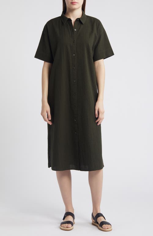 Eileen Fisher Short Sleeve Organic Cotton Midi Shirtdress at Nordstrom,