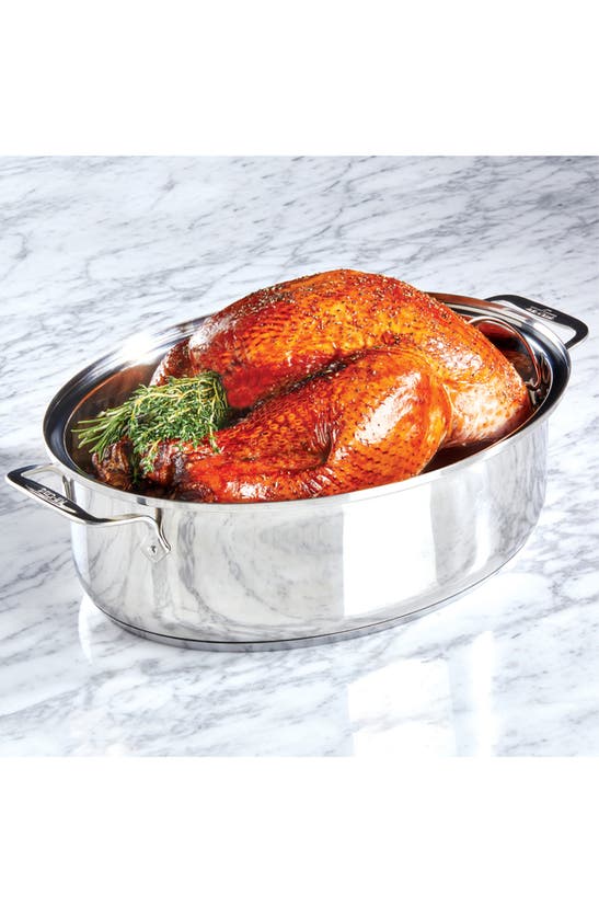 All-clad 10-quart Covered Oval Roaster & Lid In Silver