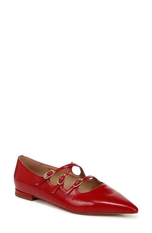 Shop Sam Edelman Cass Pointed Toe Flat In Deep Scarlet