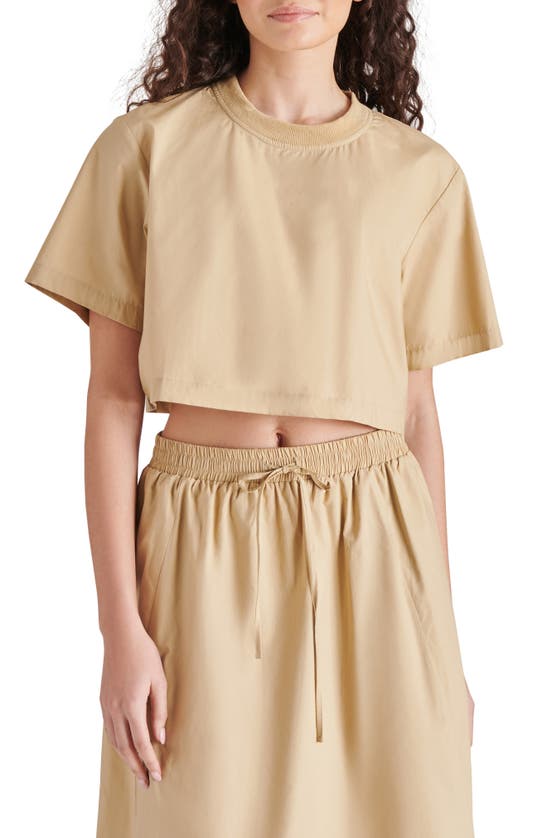 Shop Steve Madden Sunny Crop Top In Khaki