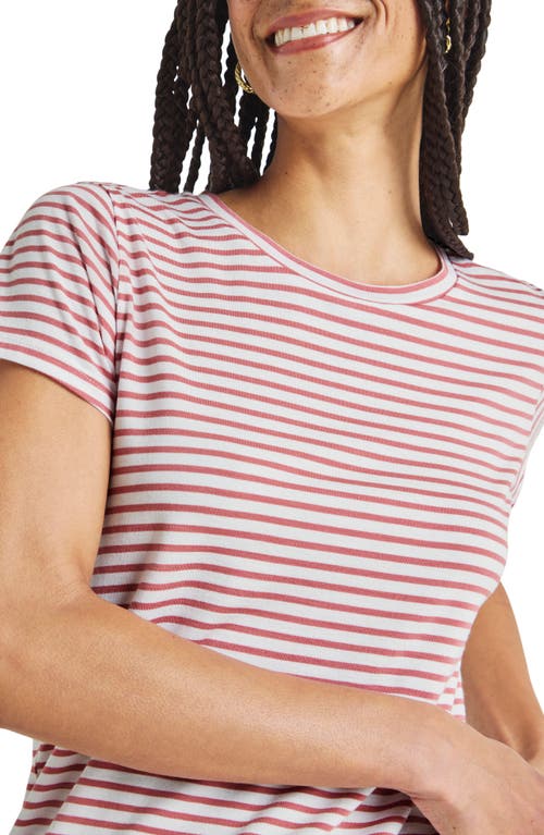 Shop Splendid Lulu Stripe T-shirt In Dawn/white