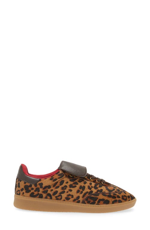 Shop Jeffrey Campbell Dillan Genuine Calf Hair Sneaker In Brown Black Cheetah