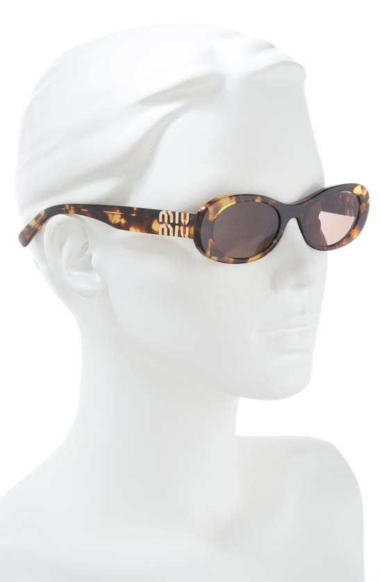 Miu Miu Logo Acetate Oval Sunglasses In Havana