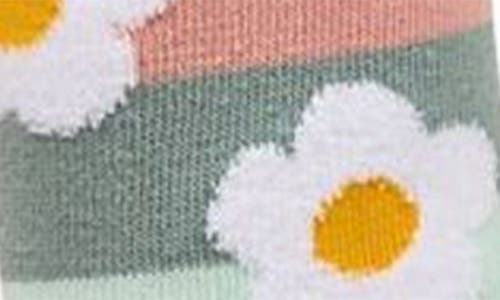 Memoi Assorted 3-pack Crew Socks In Green