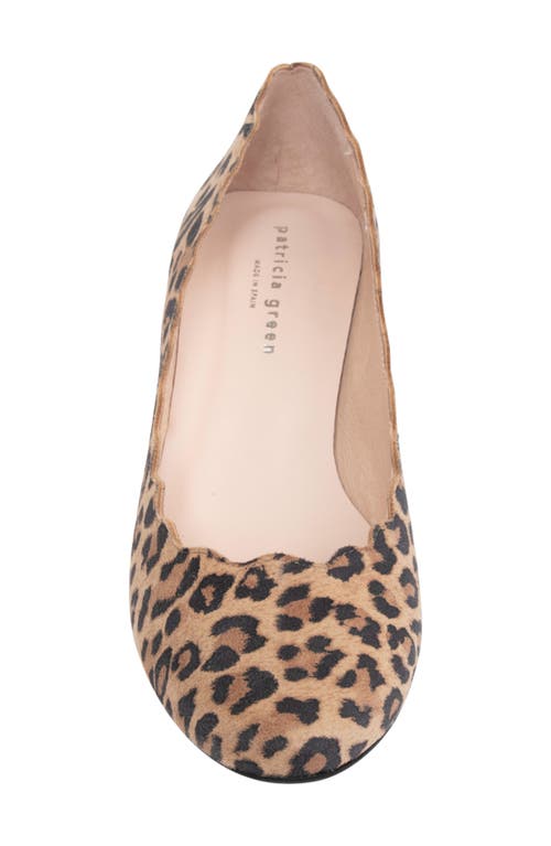 Patricia Green Palm Beach Pump In Leopard Suede