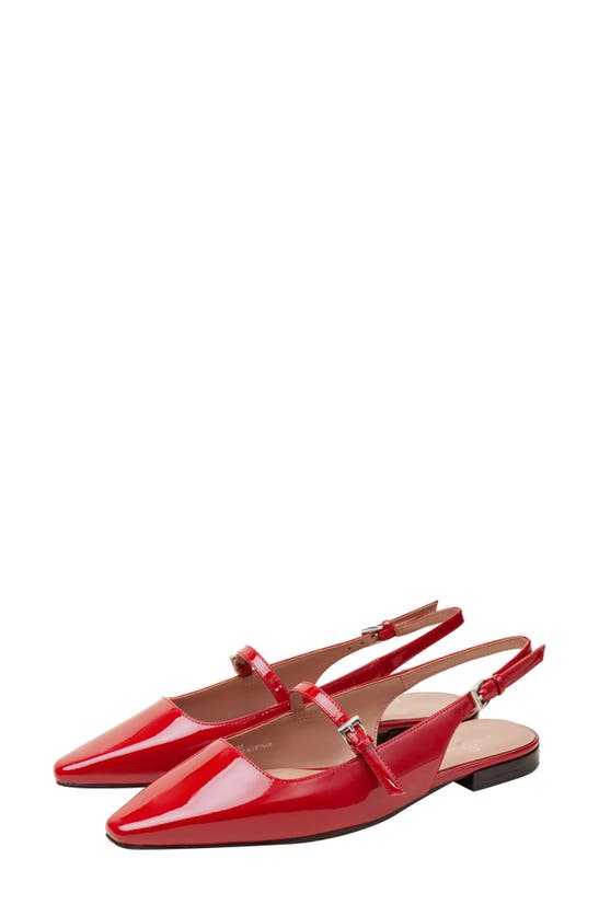 Linea Paolo Celeste Slingback Pointed Toe Flat In Red