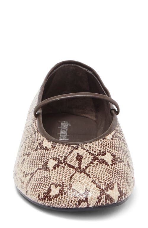 Shop Jeffrey Campbell Dancerina Mary Jane Ballet Flat In Beige/brown Snake Print