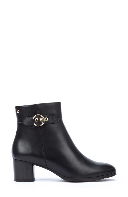 Pikolinos Calafat Buckle Bootie In Black Ii