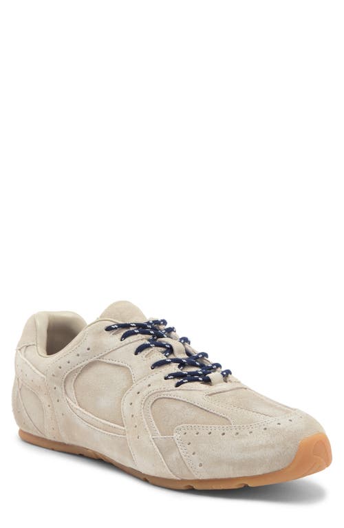 Shop Jeffrey Campbell Toned Sneaker In Ivory