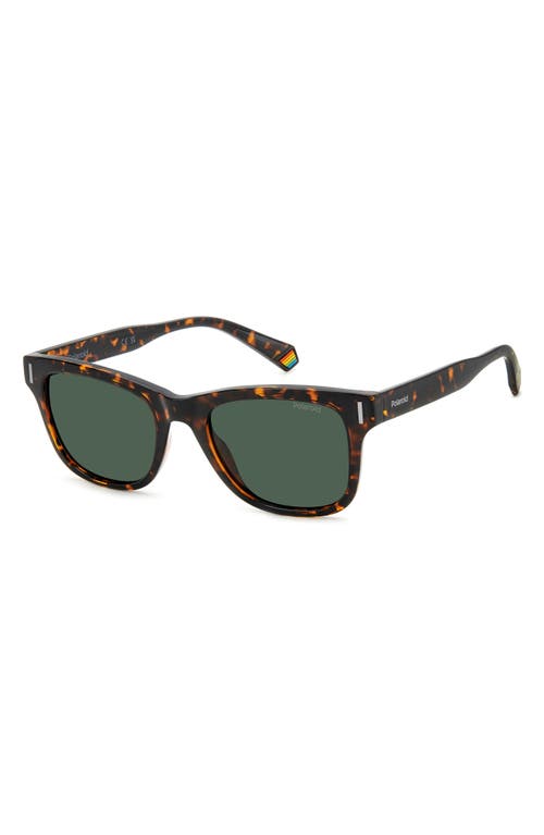 Shop Polaroid 51mm Polarized Square Sunglasses In Havana/green Polarized