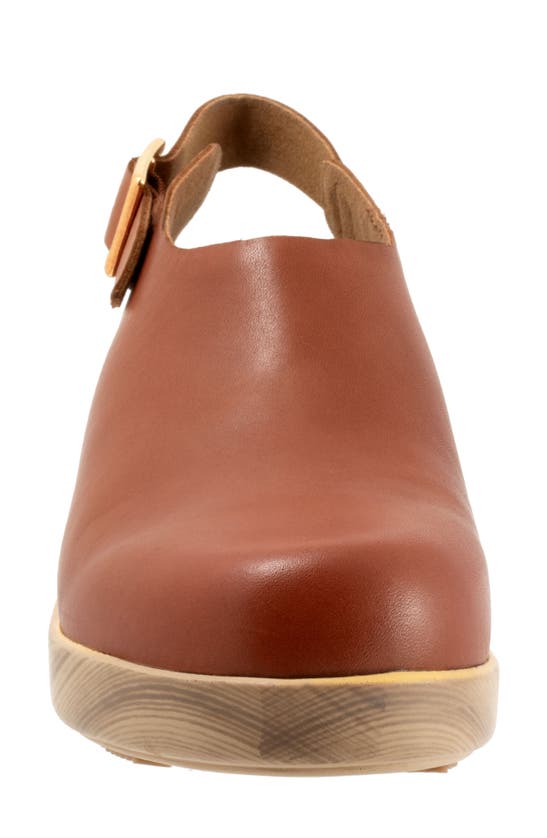 Softwalk Fairbanks Slingback Platform Clog In Luggage