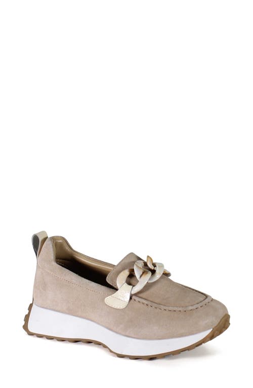 Shop Diba True Kind Words Loafer In Taupe