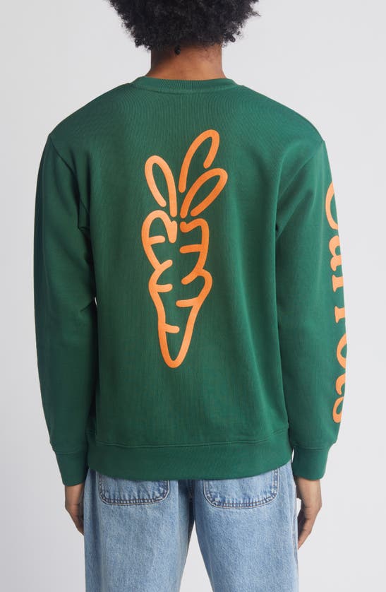 Shop Carrots By Anwar Carrots Wordmark Long Sleeve Cotton Graphic T-shirt In Forest