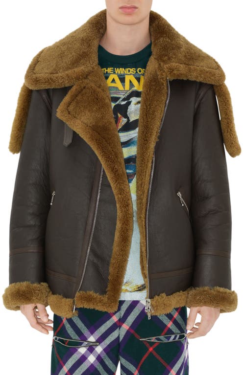 Genuine Shearling & Leather Aviator Jacket in Otter