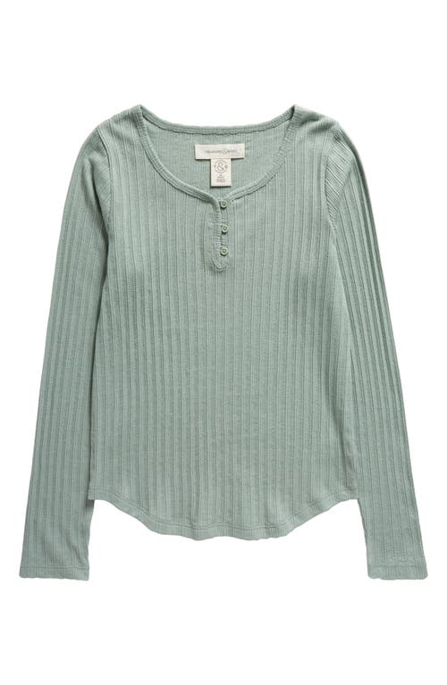 Treasure & Bond Kids' Pointelle Henley Top in Green Iceberg at Nordstrom