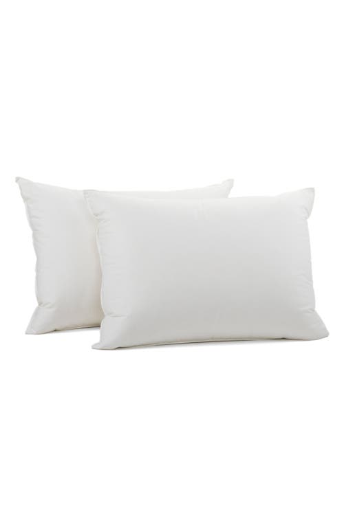 Coyuchi Down Pillow in White at Nordstrom, Size Standard