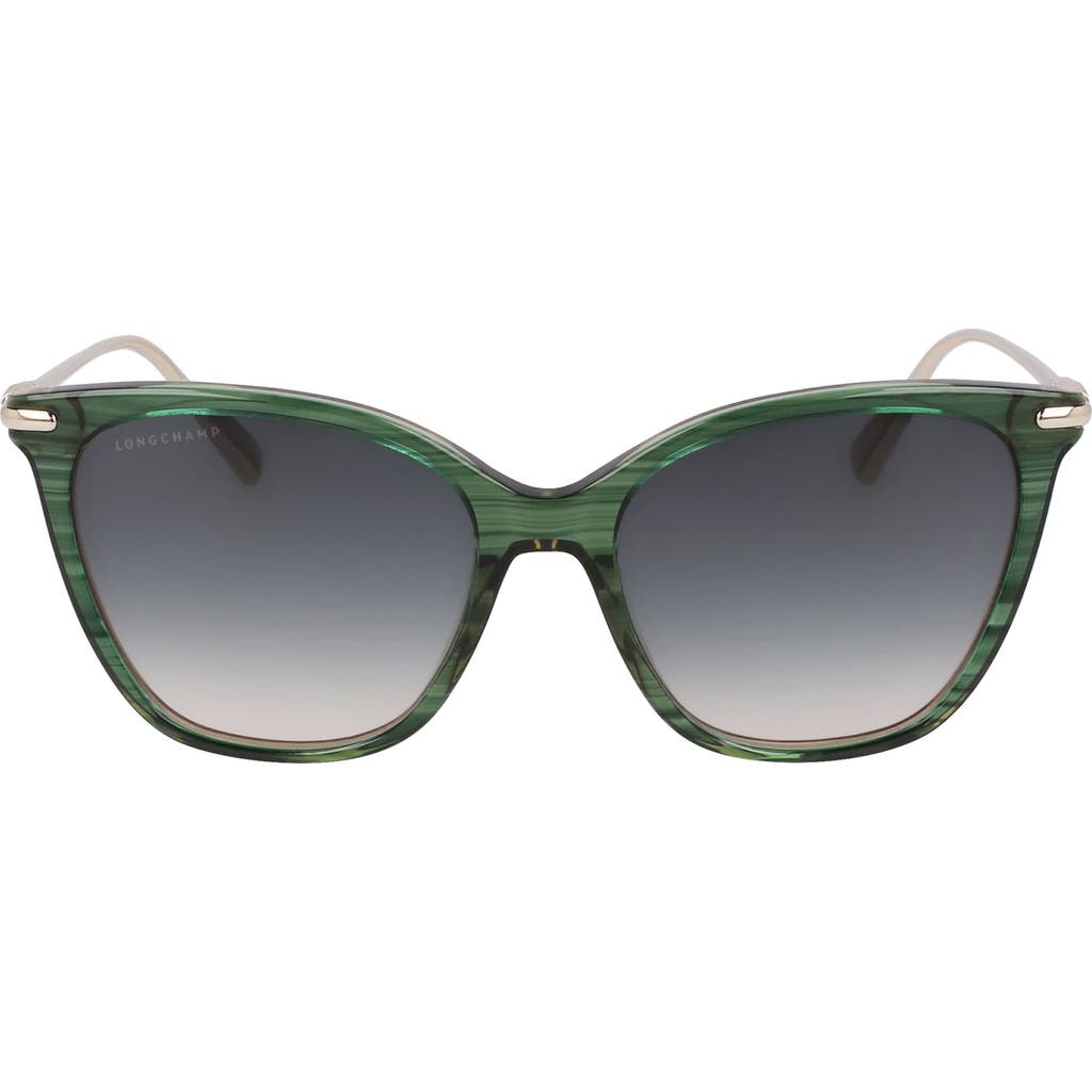 Longchamp Roseau 55mm Rectangular Sunglasses In Striped Green