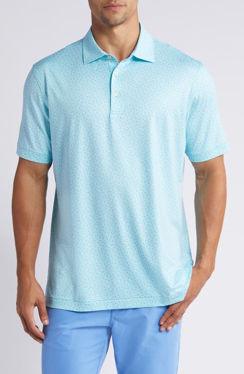 Peter Millar Crown Crafted Birdie Time Performance Polo at Nordstrom,