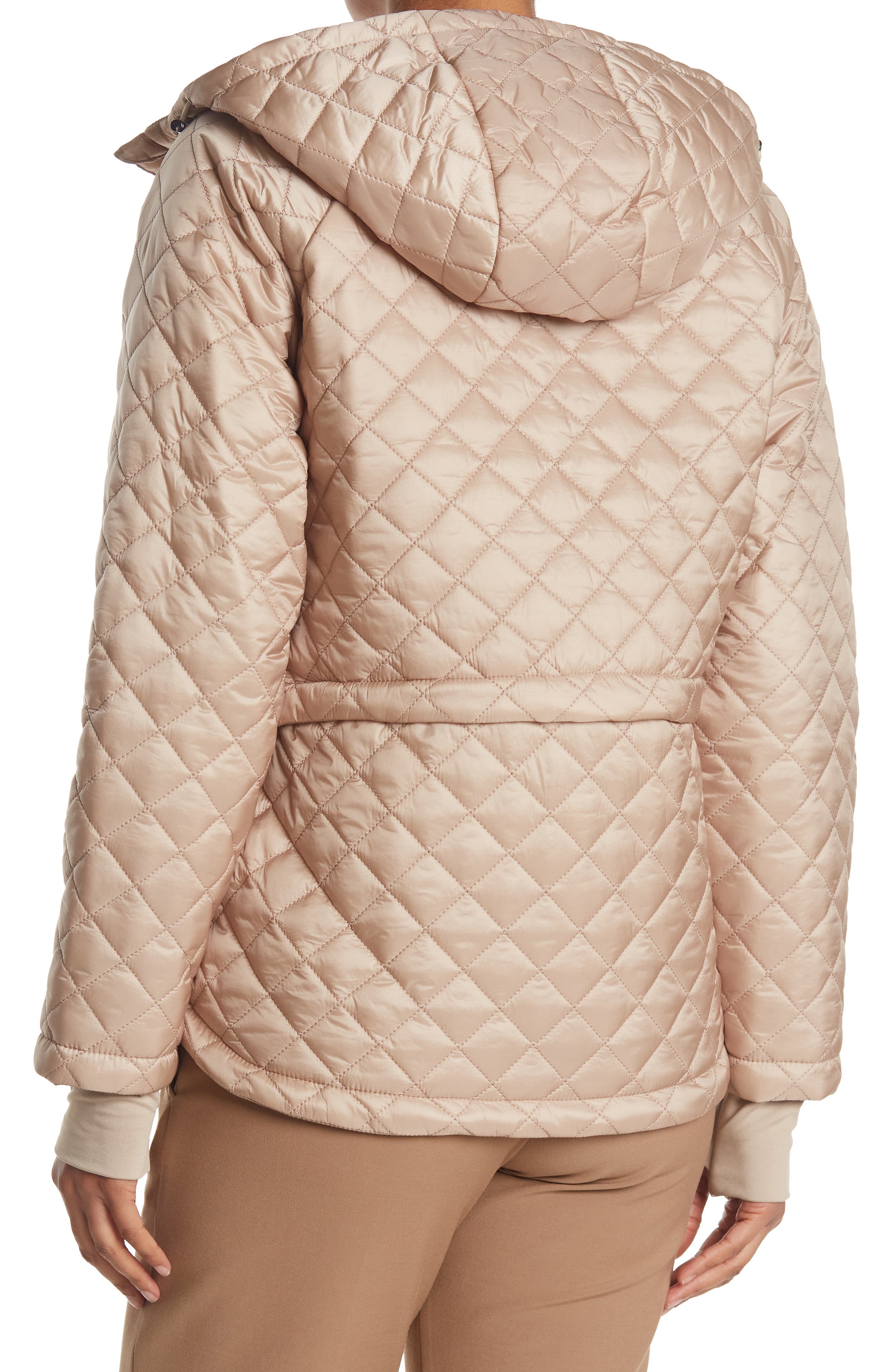 bcbg jacket nordstrom rack