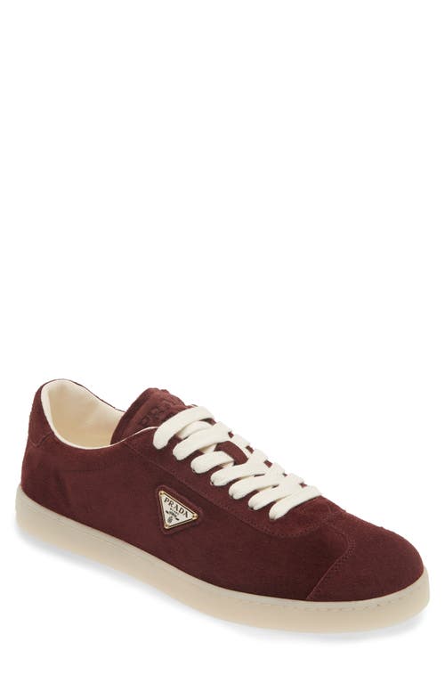 Shop Prada Lane Triangle Logo Sneaker In Bordeaux