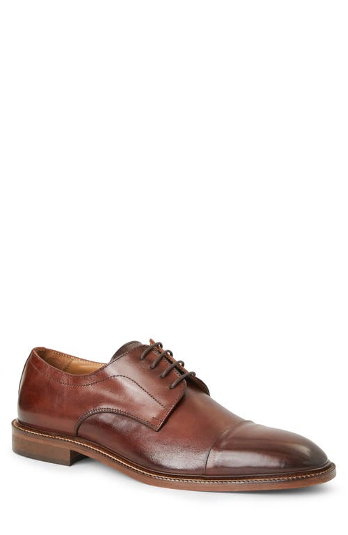 Shop Bruno Magli Aydin Cap Toe Derby In Cognac