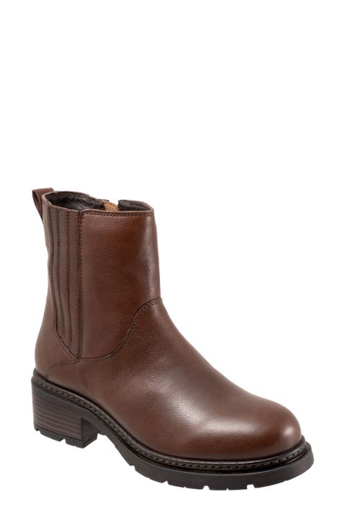 SoftWalk Novato Bootie in Dark Brown at Nordstrom, Size 8