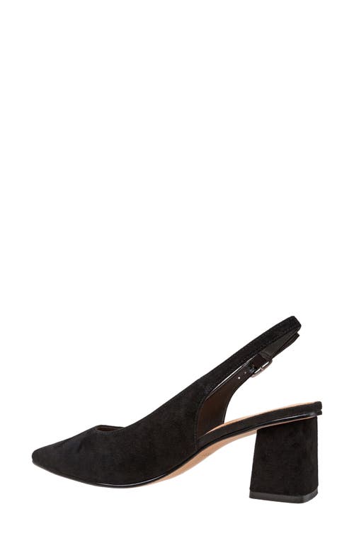 Shop Lisa Vicky Zee Pointed Toe Slingback Pump In Black