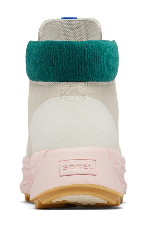 Shop Sorel Ona 503 Hiker Platform Sneaker In Natural/vintage Pink