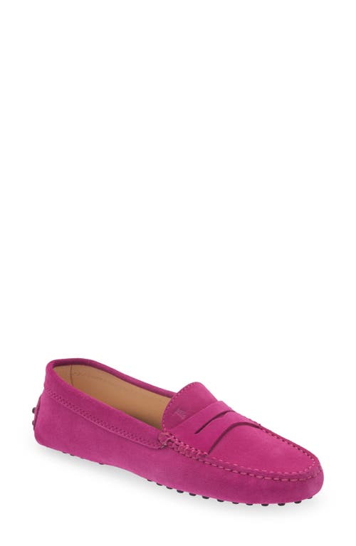 Tod's Gommini Penny Loafer in Festival Fuchsia at Nordstrom, Size 5Us