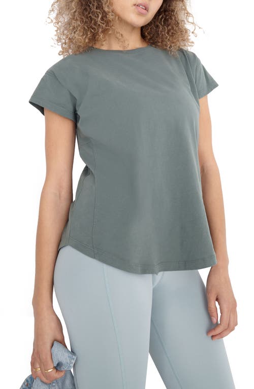 Seamed T-Shirt in Simply Sage