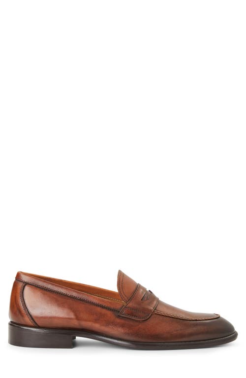 Shop Bruno Magli Arden Penny Loafer In Cognac